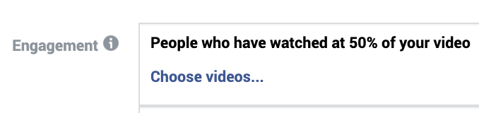 Facebook Video Engagement Custom Audience