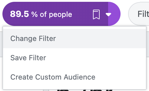 Facebook Analytics Filter.