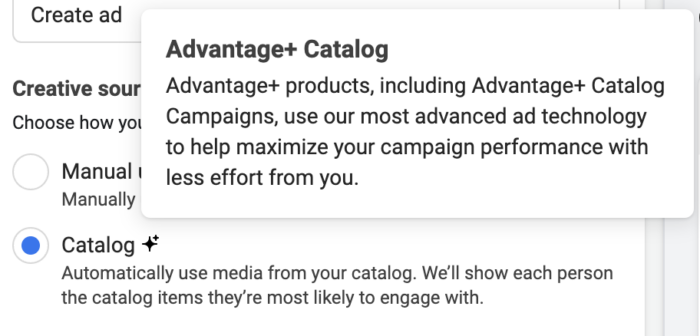 Advantage+ Catalog Ads