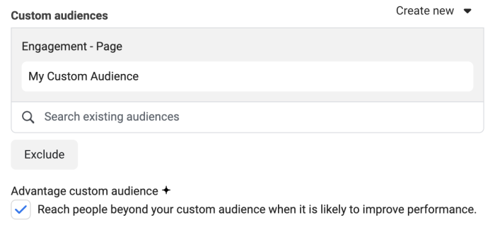 Facebook Advantage Custom Audience