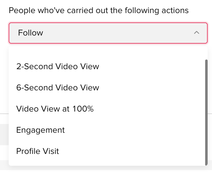 TikTok Custom Audiences