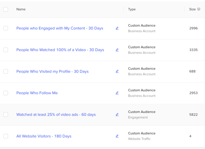 TikTok Custom Audiences