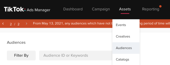 TikTok Custom Audiences