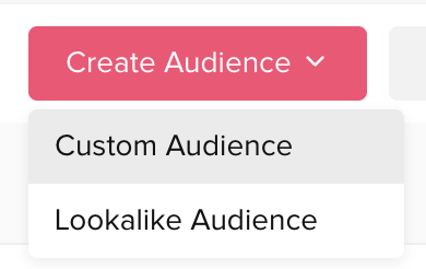 TikTok Custom Audiences
