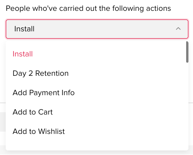 TikTok Ads Custom Audiences