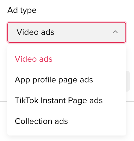 TikTok Custom Audiences