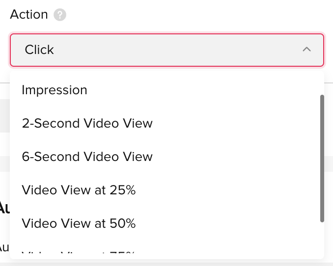 TikTok Custom Audiences
