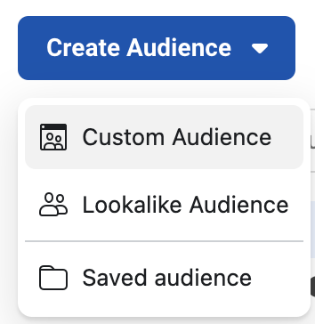 Then create a Custom Audience by going to your Audiences page and clicking the Create Audience button.