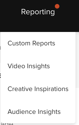 TikTok Audience Insights