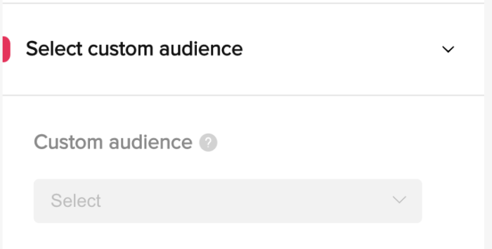 TikTok Audience Insights