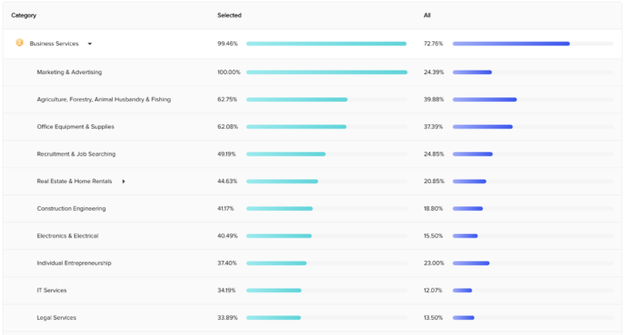 TikTok Audience Insights