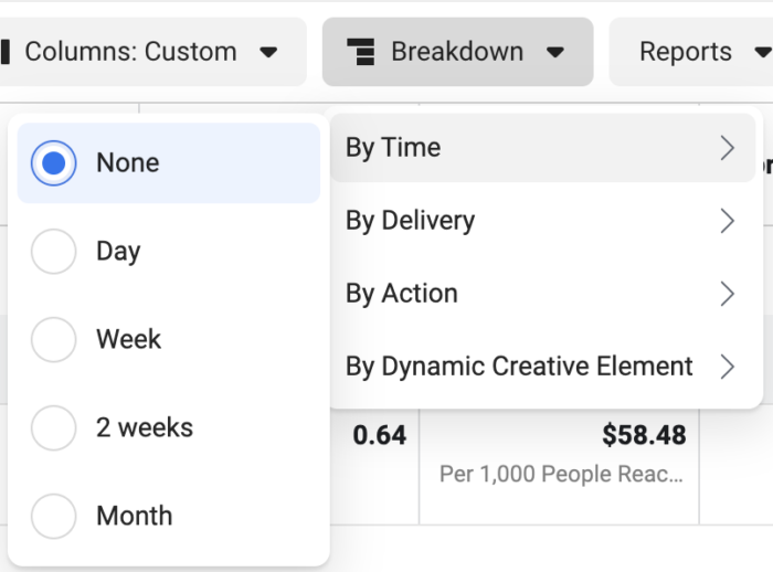 Breakdown by Time Facebook Ads