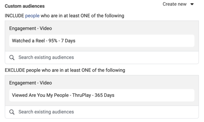 Custom Audience Targeting and Exclusion