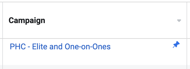 Pin Campaigns in Facebook Ads Manager