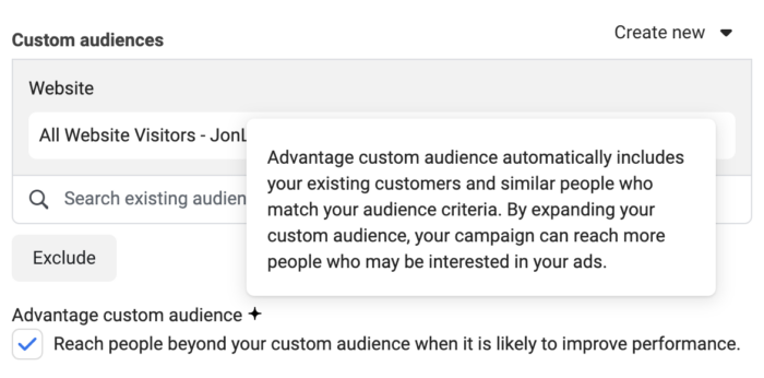 Advantage Custom Audience