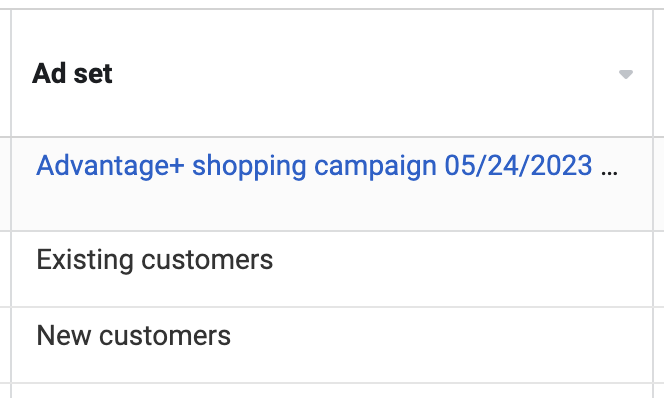 Advantage+ Shopping