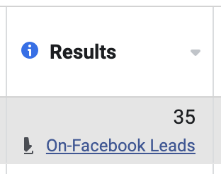 Meta Lead Form