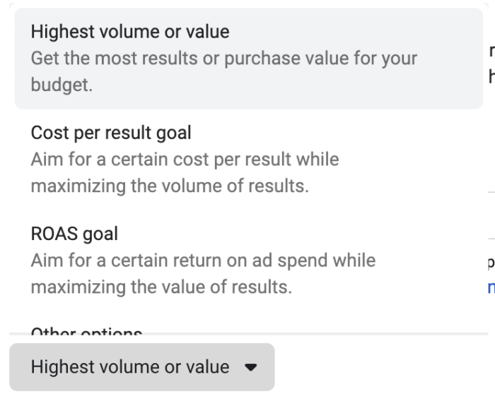 Advantage Campaign Budget