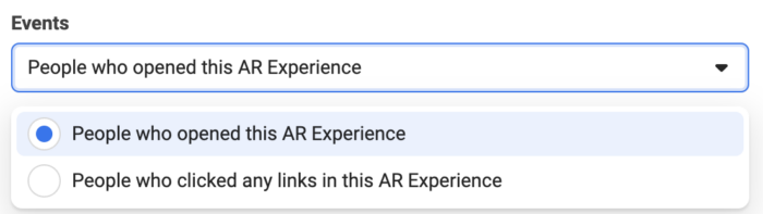AR Experience Custom Audience