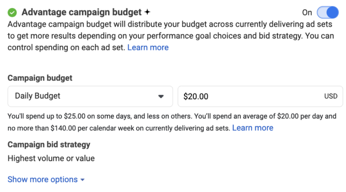 Advantage Campaign Budget