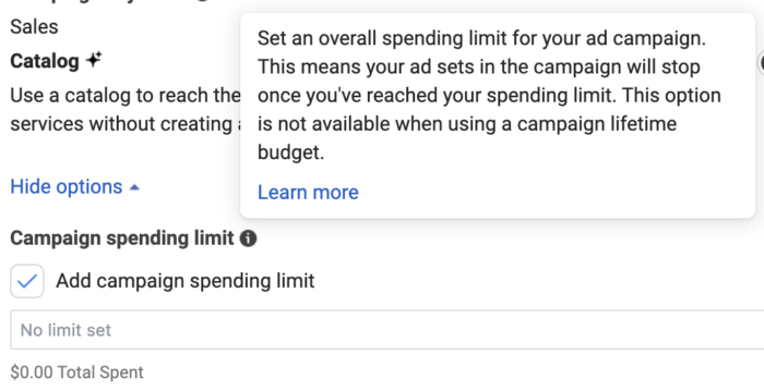 Campaign Spending Limit