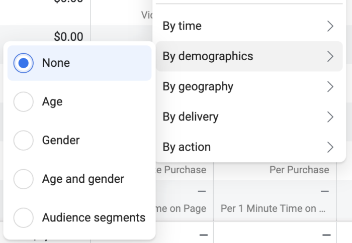 Demographics Breakdown