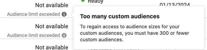 300 Custom Audiences