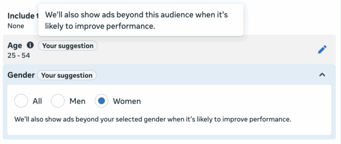 Age and Gender Audience Suggestions
