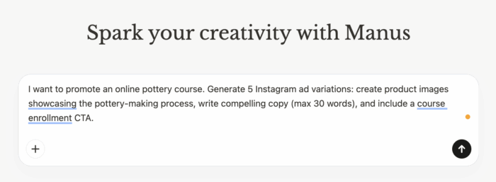 Manus AI Example Prompts