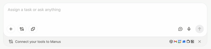 Connect Your Tools to Manus