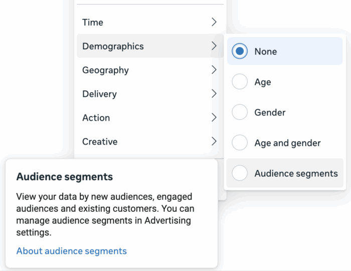 Breakdown by Audience Segments