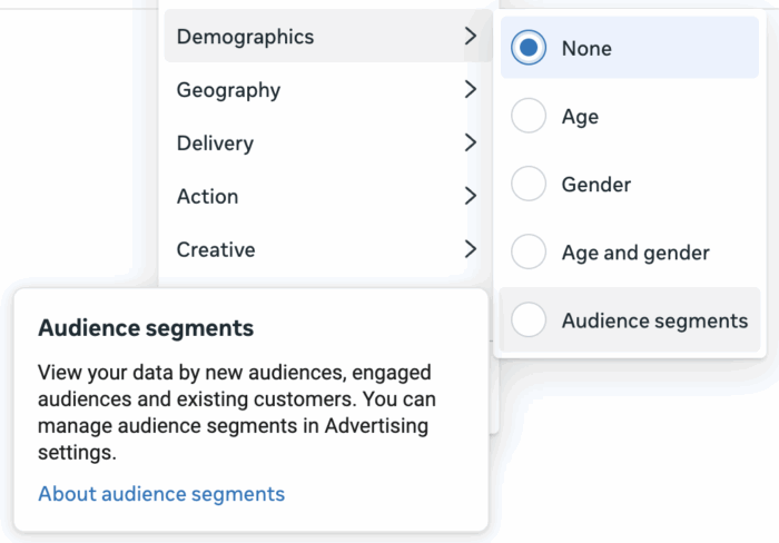 Breakdown by Audience Segments