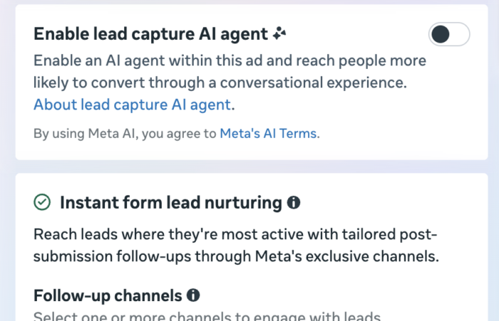 Enable Lead Capture AI Agent