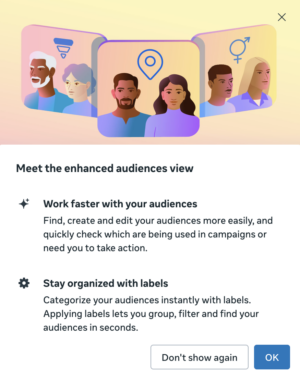 Enhanced Audiences View Meta