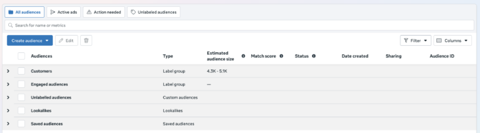 Enhanced Audiences View Meta