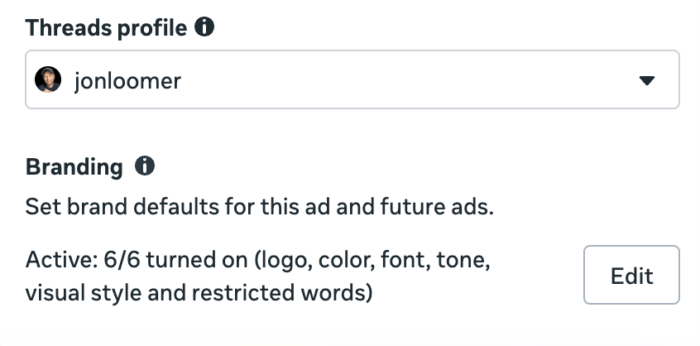 Meta Ads Manager Branding