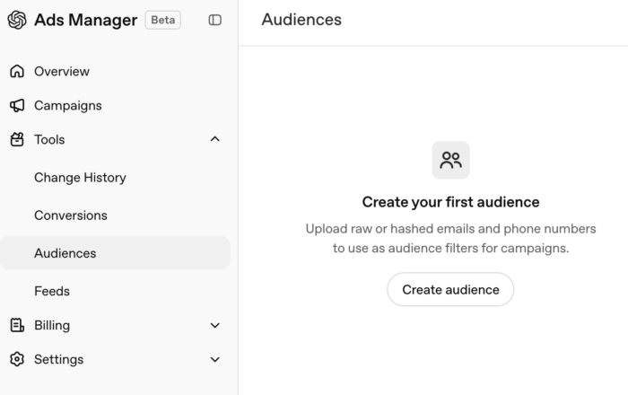 ChatGPT Ads Custom Audiences