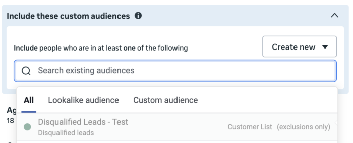 Exclusion-Only Custom Audience