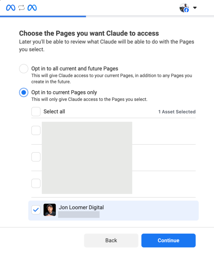 Meta Ads MCP Facebook Pages