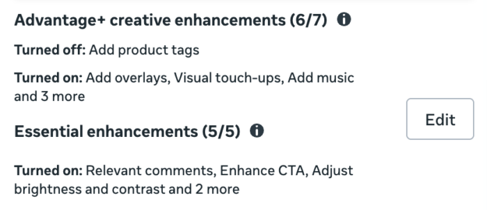 Advantage+ Creative