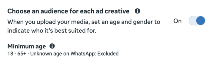Choose an audience for each ad creative