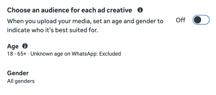 Choose an audience for each ad creative